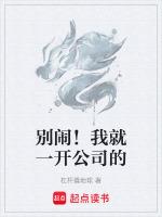 别闹！我就一开公司的
